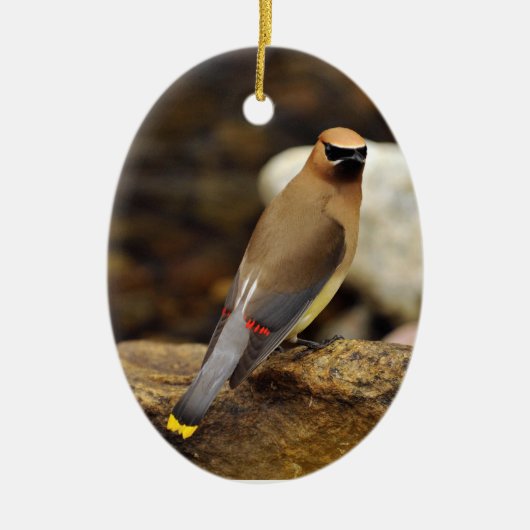 Zederwaxwing-Verzierung Keramik Ornament (Vorne)