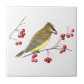 Zederwaxwing-Vogel-Kunst-Fliese Fliese (Vorderseite)