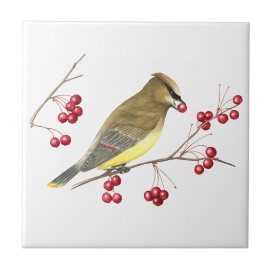 Zederwaxwing-Vogel-Kunst-Fliese Fliese (Vorderseite)