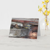 ZederWaxwings und Birdbath Karte (Gelbe Blume)