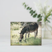 ‚Zedonk‘ Postkarte (Stehend Vorderseite)