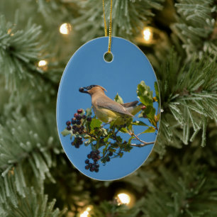 Zedrachseidenschwanz-Feiertagsgeschenk Keramik Ornament