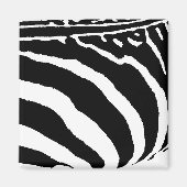 Zeebra Magnet (Vorne)