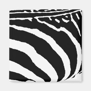 Zeebra Magnet