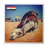 zEG021 EGYPT, Camel, Afrika, Fliese (Vorderseite)