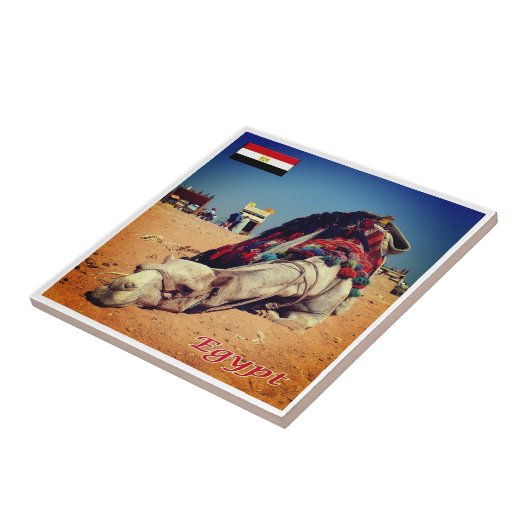 zEG021 EGYPT, Camel, Afrika, Fliese (Seite)