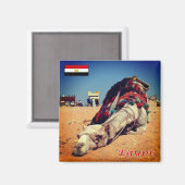 zEG021 EGYPT, Kamel, Afrika, Kühlschrank Magnet (Vorderseite/Rückseite)