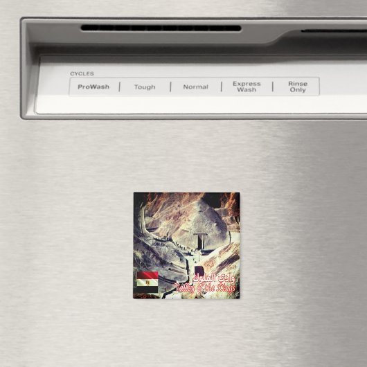 zEG040 VALLEY OF THE KING, Ägypten, Afrika, Kühlsc Magnet (In Situ (Geschirrspüler))