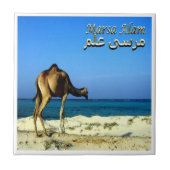 zEG047 MARSA ALAM, Rotes Meer, Ägypten Fliese (Vorderseite)