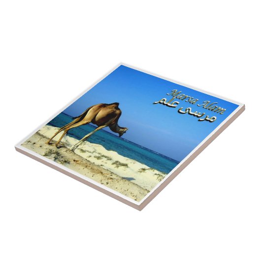 zEG047 MARSA ALAM, Rotes Meer, Ägypten Fliese (Seite)