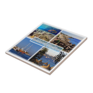 zEG063 SHARM EL SHEIK in Rotes Meer, ÄGYPTEN, Fliese