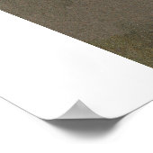 Zegfeld Girl Poster (Ecke)