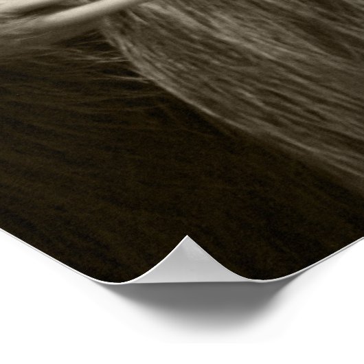 Zehenfaultier Poster (Ecke)