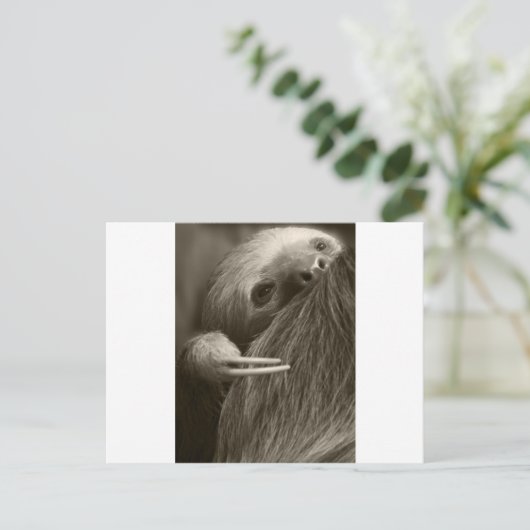 Zehenfaultier Postkarte (Stehend Vorderseite)