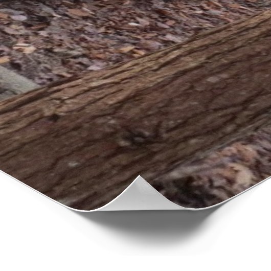 Zehenposter Poster (Ecke)