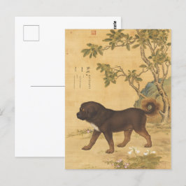 Zehn feine Hunde - Cangni (ein tibetischer Hund) Postkarte