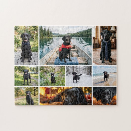 Zehn-Foto-Collagen-Vorlage Puzzle (Horizontal)