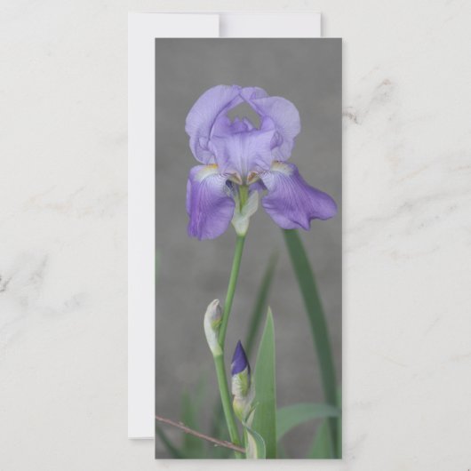 Zehn Gebote Gebetskarte (Rückseite)