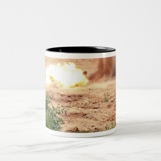 Zehn halbe Pfund TNT-Blöcke Zweifarbige Tasse (Mittel)