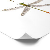 Zehn Libellenarten Poster (Ecke)