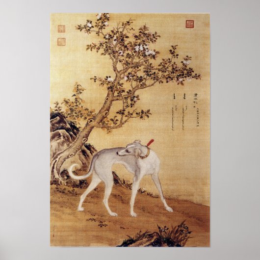 Zehn preisgekrönte Hunde - Cangshuiqiu (Chinesisch Poster (Vorne)