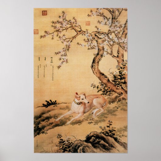 Zehn preisgekrönte Hunde - Shanxing Wolf (Chinesis Poster (Vorne)