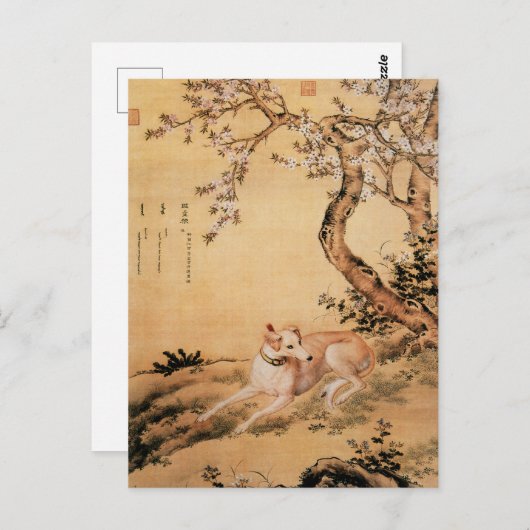 Zehn preisgekrönte Hunde - Shanxing Wolf (Chinesis Postkarte (Vorne/Hinten)