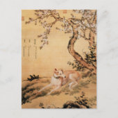 Zehn preisgekrönte Hunde - Shanxing Wolf (Chinesis Postkarte (Vorderseite)