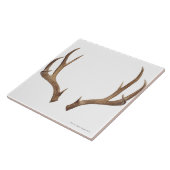 Zehn-Punkterotwild Fliese (Seite)