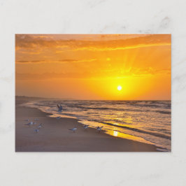 Zehntausende auf einem Florida Beach bei Sonnenauf Postkarte
