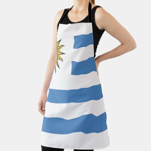 Zeichen der Uruguay-Flagge Schürze (InSitu)