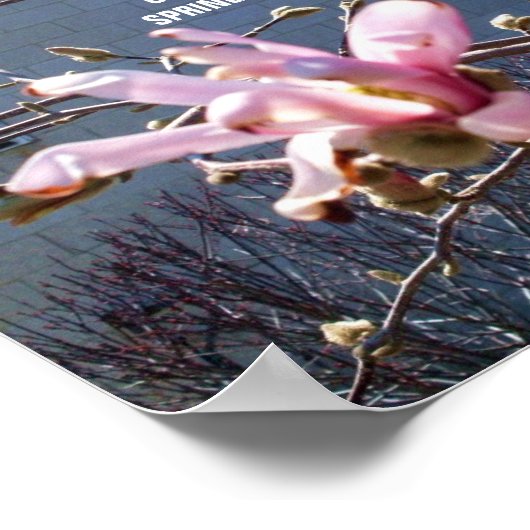 ZEICHEN DES FRÜHSTÜCKposters Poster (Ecke)