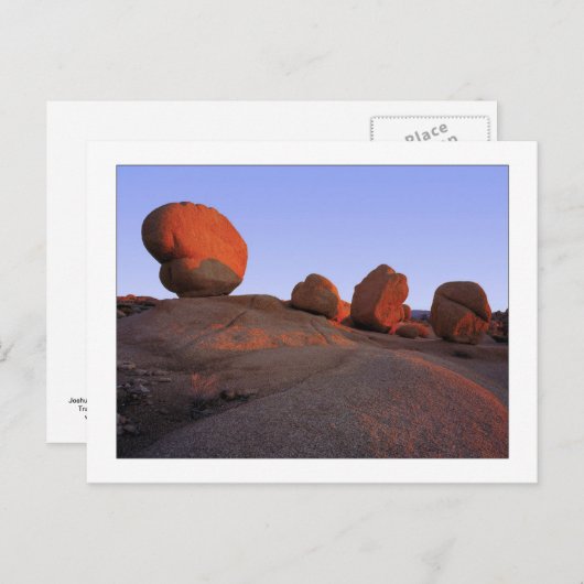 "Zeichen von vier " Postkarte (Vorne/Hinten)