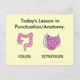 Zeichensetzung/Anatomie Lektion auf Postkarte