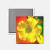 ZEICHENSTIL UND DESIGN-DEKORATION DER BLUME MAGNET (Vorderseite/Rückseite)