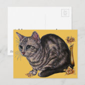 Zeichn der Katze mit Etui auf der Postkarte (Vorne/Hinten)