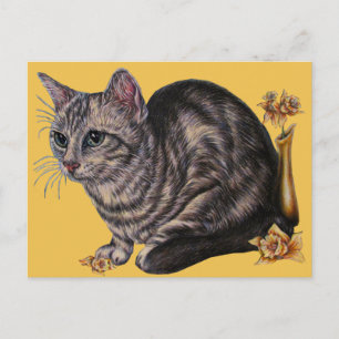 Zeichn der Katze mit Etui auf der Postkarte