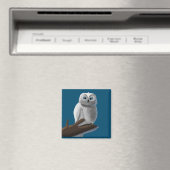 Zeichn einer Eule auf einem Zweig Magnet (In Situ (Geschirrspüler))