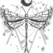 Zeichn einer Libelle im Boho-Stil des Mondes Aufkleber (Vorderseite)