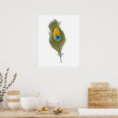 Zeichn eines Single Peacock Feather Poster (Küche)