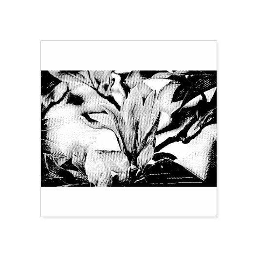 Zeichn eines Zweiges der Blume Magnolien Gummistempel (Prägung)