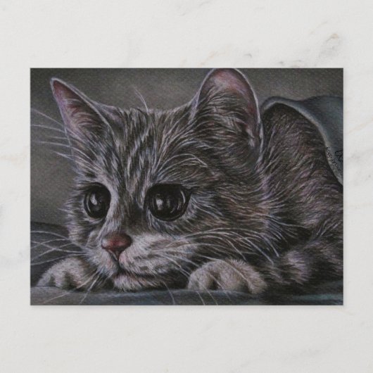 Zeichn von Kitten auf Postkarte (Vorderseite)