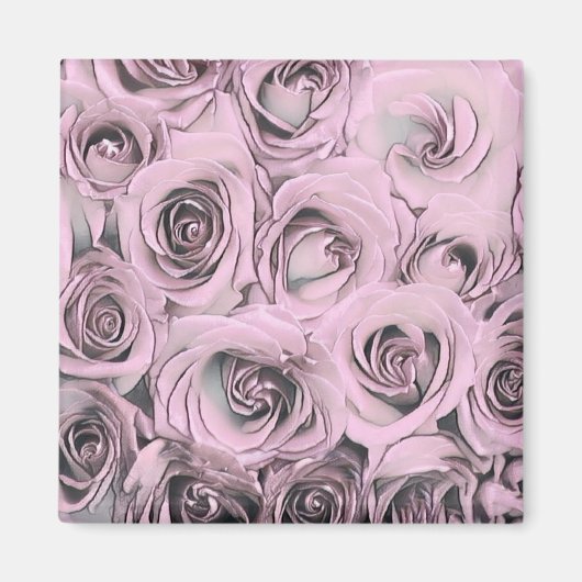 Zeichn von rosa Rosen Magnet (Vorne)