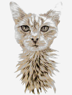 Die Katzenaugen Kleidung Zazzle De