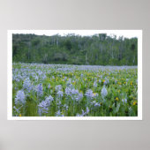 Zeichnen des Feild Poster (Vorne)