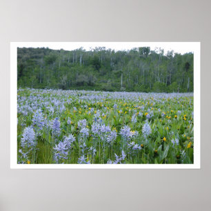 Zeichnen des Feild Poster