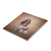 Zeichnen des lustigen Dachshund-Jagdhundhundes Fliese (Seite)