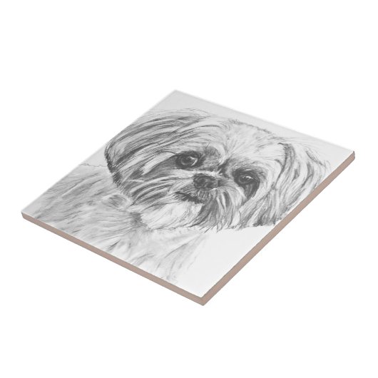 Zeichnen Shih-Tzu Fliese (Seite)