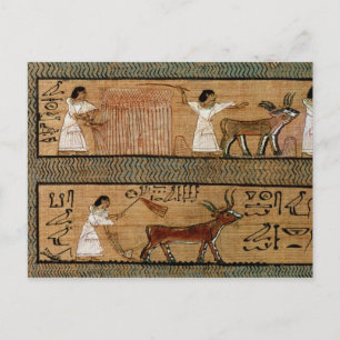 Zeichnen und Pflügen, eine Darstellung detailliere Postkarte