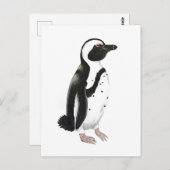 Zeichnend afrikanischer Pinguinstift Postkarte (Vorne/Hinten)